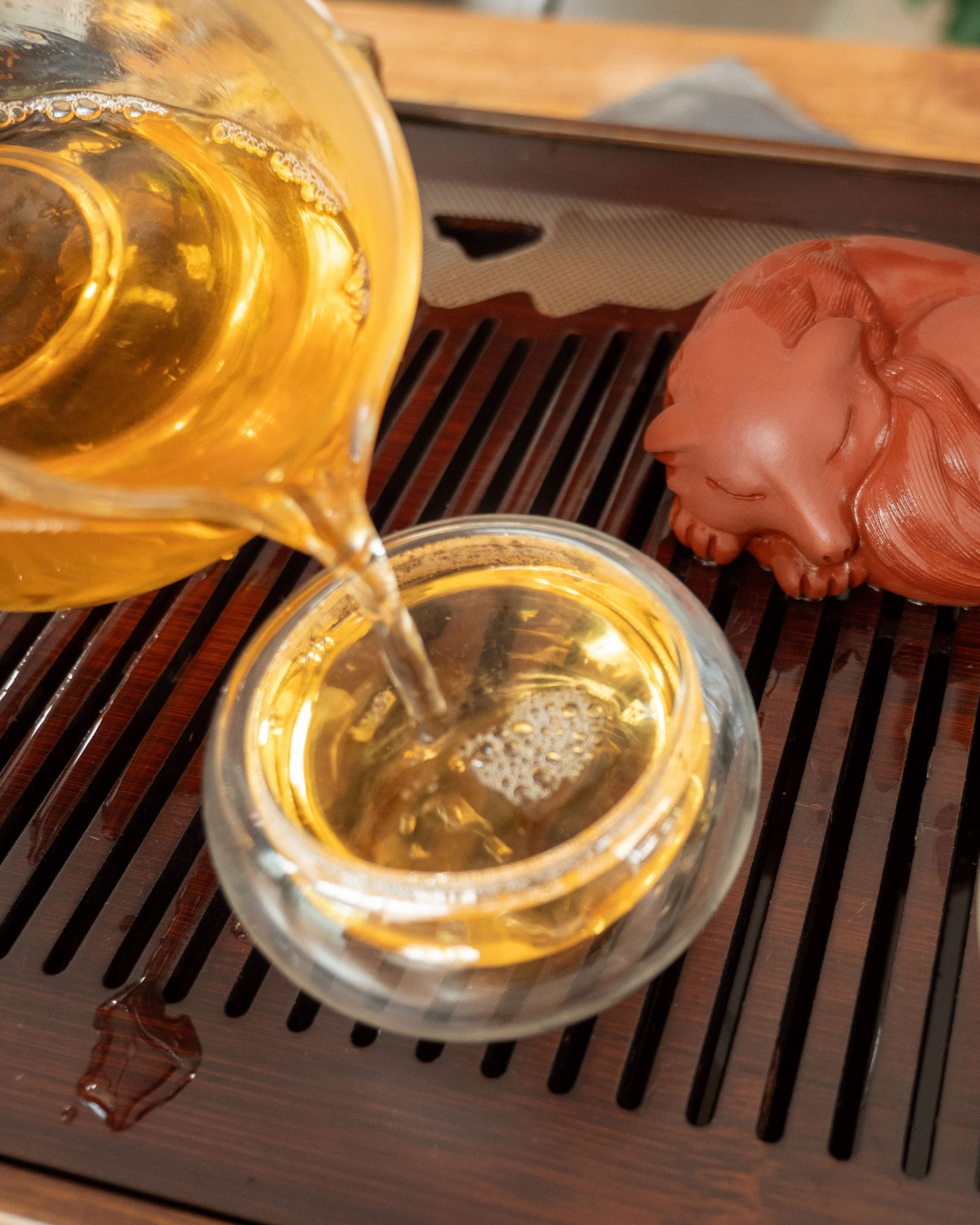 Pouring tea over a clay tea pet, Plant Bar Traditional Tea