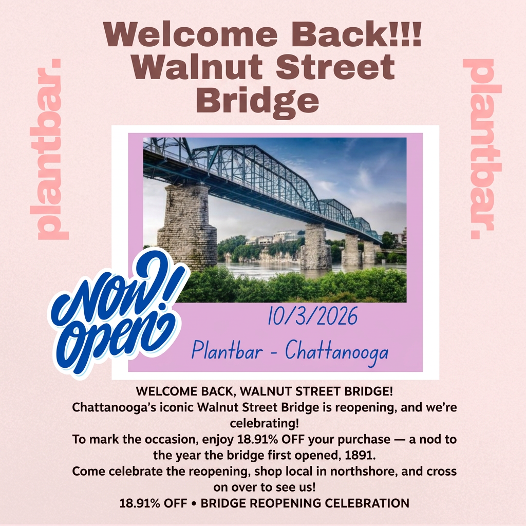 Walnut Street Bridge Reopening