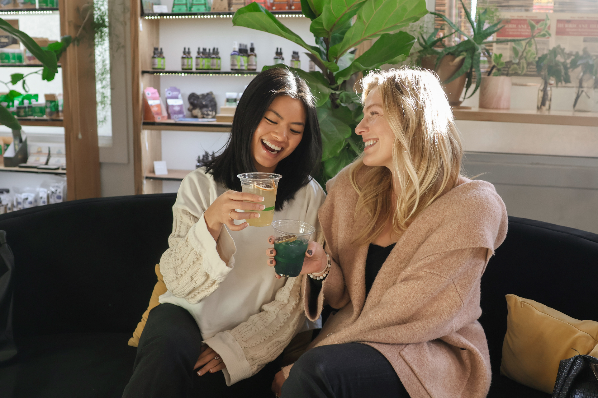 Cheers on the lounge sofa, Plant Bar West Asheville