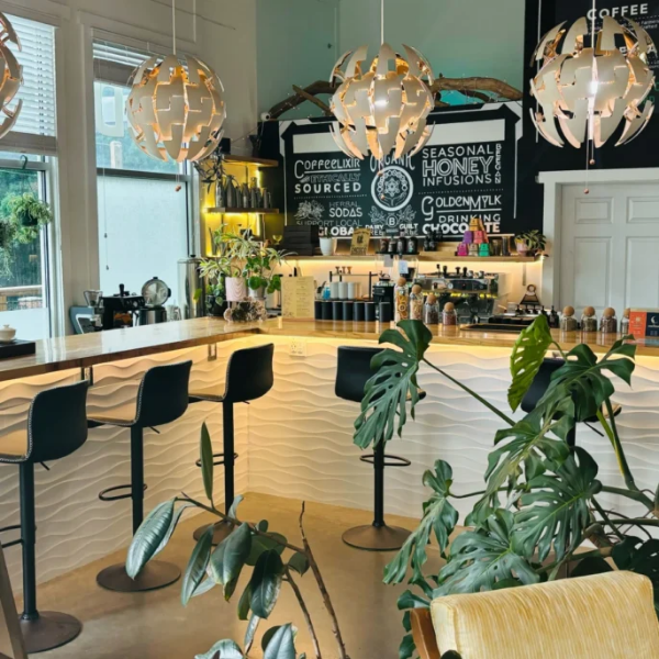 Wave bar under copper pendants, Plant Bar West Asheville