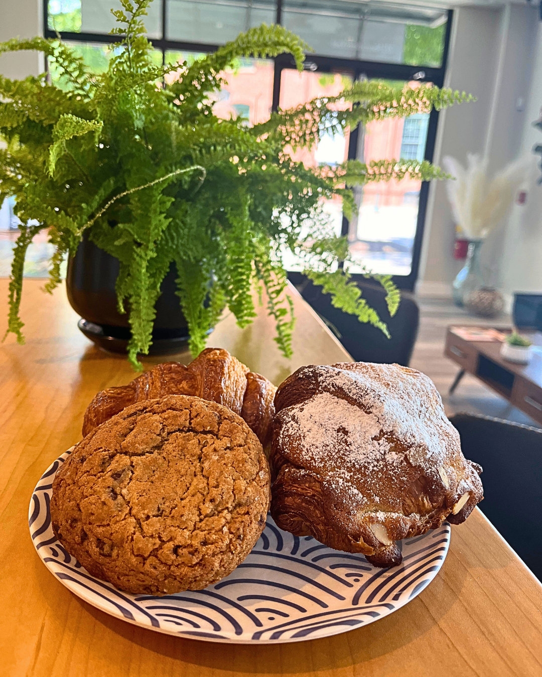 Pastries plated by the window, Plant Bar Pastries & Bites