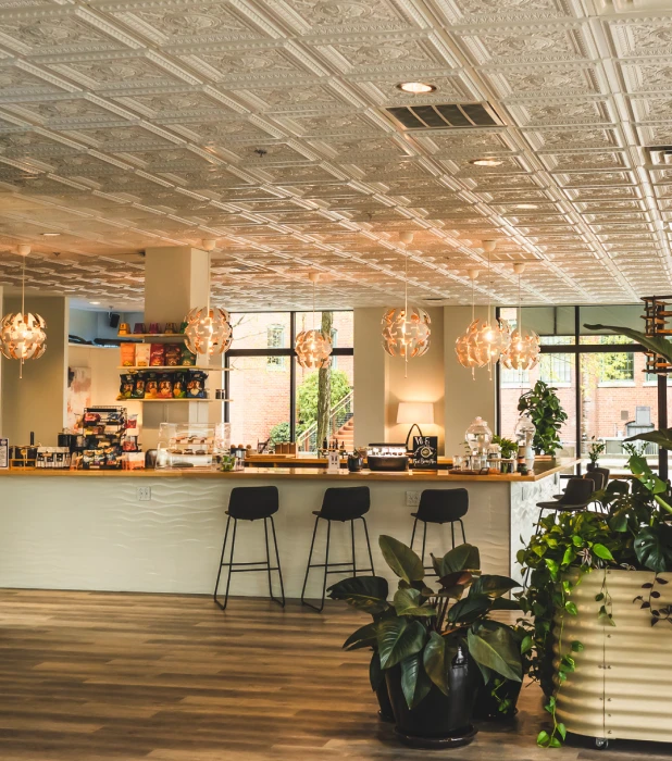 The bar at golden hour, Plant Bar Chattanooga