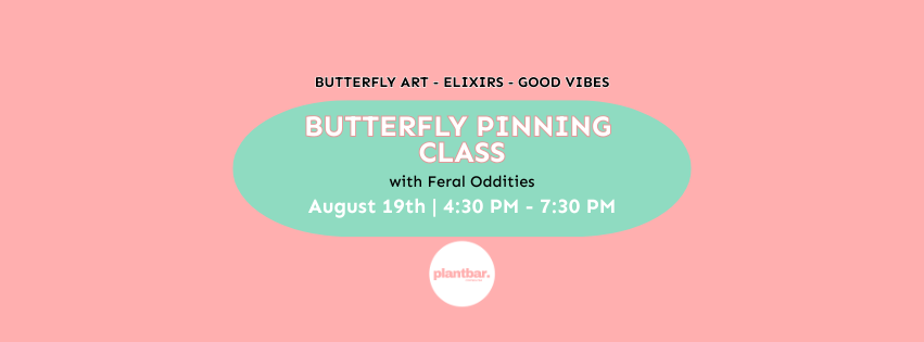 Butterfly Pinning Class Hosted by Feral Oddities Butterfly Pinning Class Hosted by Feral Oddities